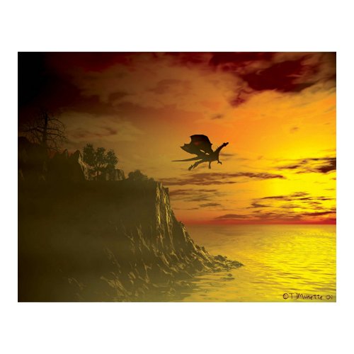 Evening Flight print