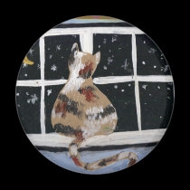 Evening glance by a cat magnets