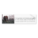 Evening Grazing bumper stickers