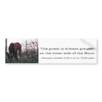 Evening Grazing bumper stickers