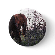 Evening Grazing buttons