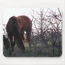 Evening Grazing Mouse Pads