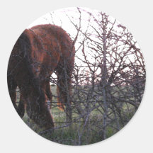 Evening Grazing Round Sticker