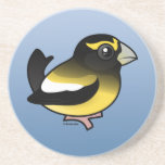 Evening Grosbeak male Sandstone Drink Coaster