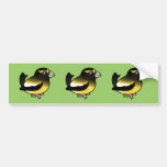 Evening Grosbeak male Bumper Sticker