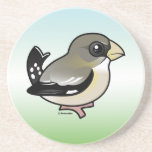 Evening Grosbeak female Sandstone Drink Coaster