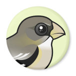 Evening Grosbeak female Round Magnet