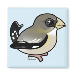 Evening Grosbeak female Square Magnet