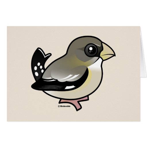 Evening Grosbeak (f) Greeting Cards