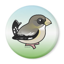 Evening Grosbeak (f) Fridge Magnets