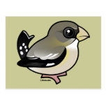 Evening Grosbeak female Postcard