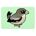 Evening Grosbeak female Photo Magnet