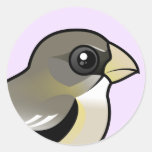 Evening Grosbeak female Round Sticker
