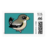 Evening Grosbeak female Stamp