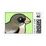 Evening Grosbeak female Stamp