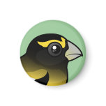 Evening Grosbeak male Round Magnet
