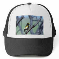 Evening Grosbeak Hats