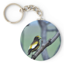 Evening Grosbeak Key Chain
