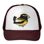 Evening Grosbeak male Trucker Hat