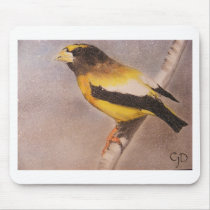 Evening Grosbeak Mouse Pads