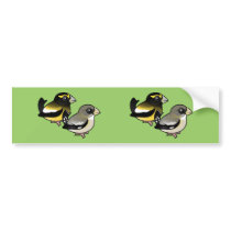 Evening Grosbeak pair Bumper Sticker