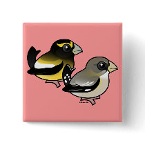 Evening Grosbeak pair Pinback Buttons