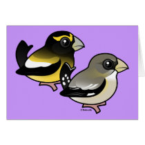 Evening Grosbeak pair Card