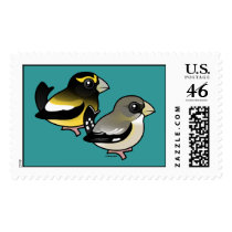 Evening Grosbeak pair Stamp