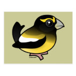 Evening Grosbeak Post Card