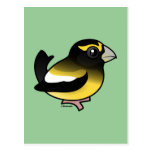 Evening Grosbeak male Postcard