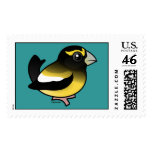 Evening Grosbeak male Stamp