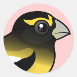 Evening Grosbeak male Round Sticker