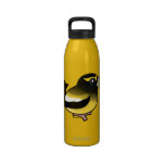 Evening Grosbeak male Water Bottle