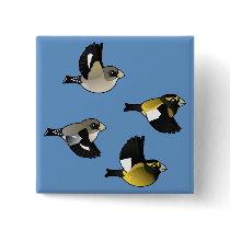 Evening Grosbeaks in Flight Buttons