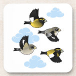 Evening Grosbeaks in flight Beverage Coaster