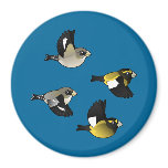 Evening Grosbeaks in flight Round Magnet