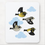 Evening Grosbeaks in flight Mousepad