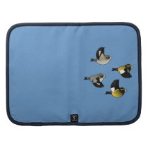 Evening Grosbeaks in Flight Planners