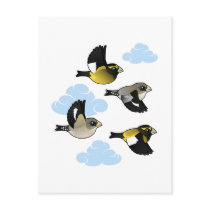 Evening Grosbeaks in Flight Postcards