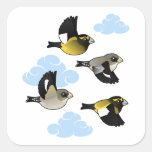 Evening Grosbeaks in flight Square Sticker