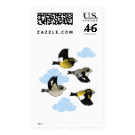 Evening Grosbeaks in flight Stamp