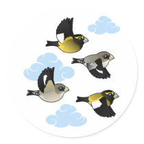 Evening Grosbeaks in Flight Round Stickers