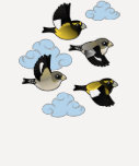 Evening Grosbeaks in flight Ladies Raglan Fitted T-Shirt