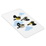 Evening Grosbeaks in flight Photo Magnet