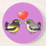 Evening Grosbeaks in love Sandstone Drink Coaster