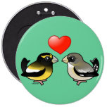 Evening Grosbeaks in love Round Button