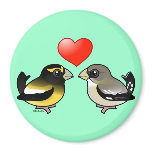 Evening Grosbeaks in love Round Magnet