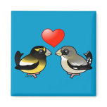 Evening Grosbeaks in love Square Magnet
