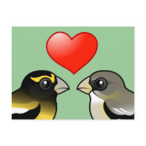 Evening Grosbeaks in Love Postcards