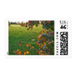 Evening in Sunlight Postage